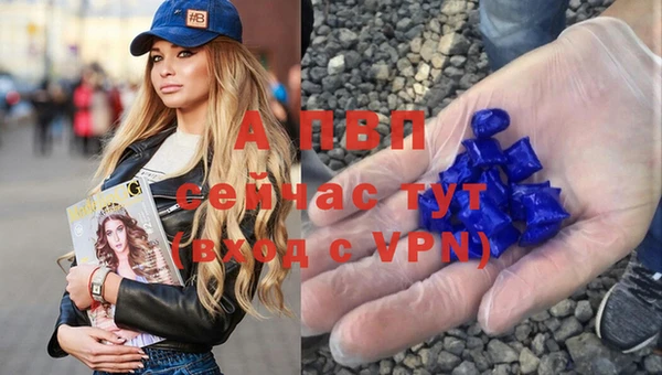 Альфа ПВП Великий Новгород