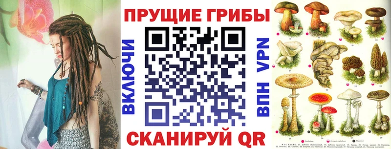 Галлюциногенные грибы GOLDEN TEACHER Ак-Довурак